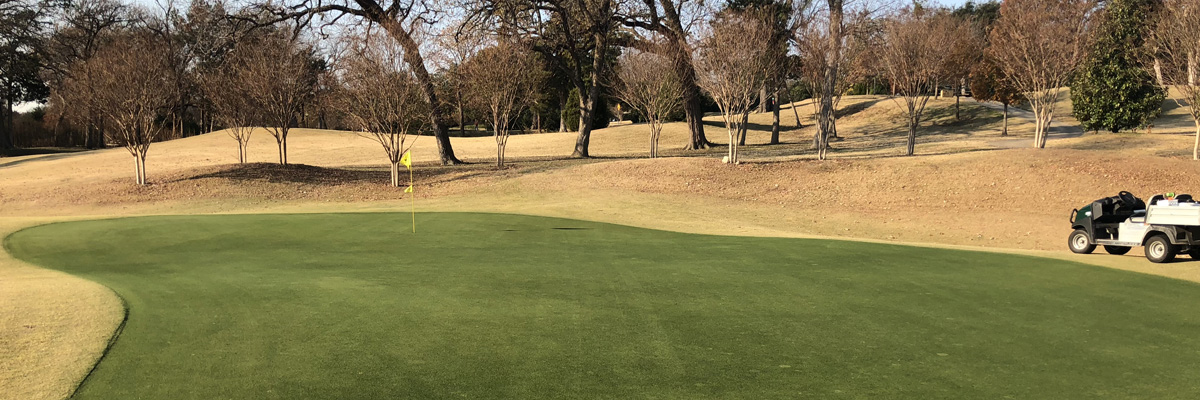 Pigment dye on dormant turf